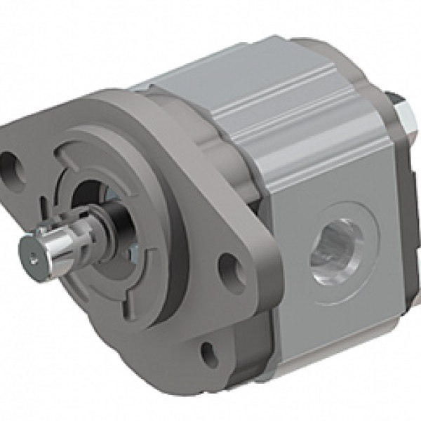 Pumps Group 1: SAE “AA” standard - two holes