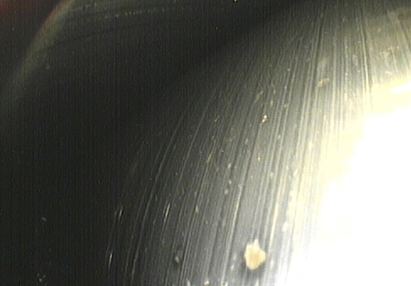 image 2 - typical image of surface damage to a roller bearing element